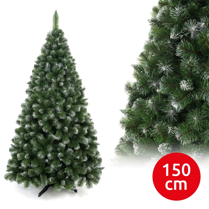 150 cm korkea mäntypuinen joulukuusi