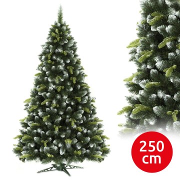 250 cm:n joulukuusi, mänty