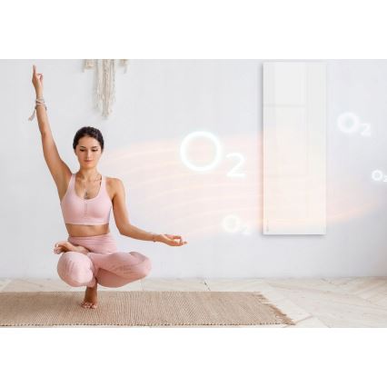 AENO - Älykäs sähköinen infrapunapaneeli LED mukana näyttö 700W ajastin/termostaatti IP44 Wi-fi valkoinen