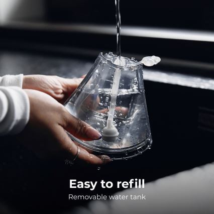 AENO - Kädessä pidettävä vaatteiden höyrystin 1500W/230V