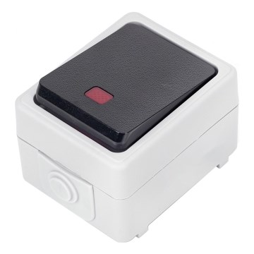 Aigostar - 1-painikkeinen kytkin IP54