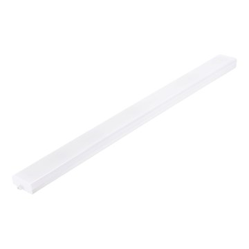 Aigostar - himmennettävä LED-loisteputkivalaisin MESH LED/40W/230V 6500K