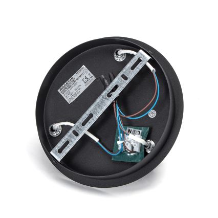 Aigostar - Kohdevalaisin 3xGU10/60W/230V musta