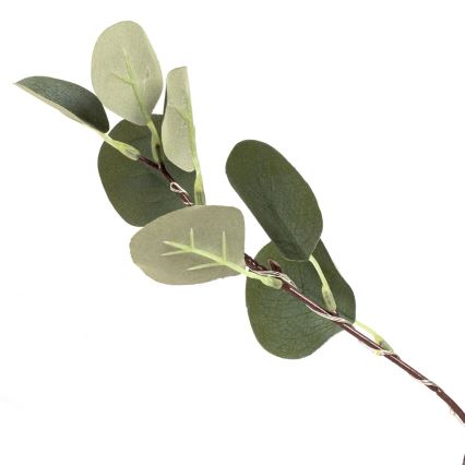 Aigostar - LED aurinkokoriste 285xLED/3,8m IP65 1200 mAh lämmin valkoinen eukalyptus