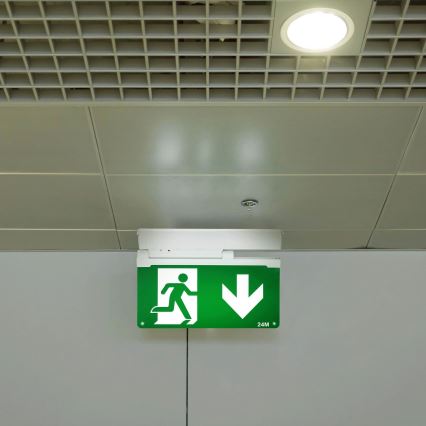 Aigostar - LED-hätävalo EMERGENCY EXIT LED/3,6W/230V 6500K 500mAh