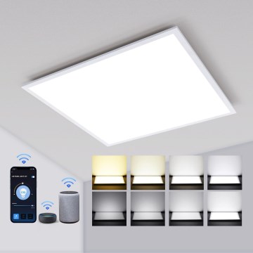 Aigostar - LED himmennettävä alasvalopaneeli 32W/230V Wi-Fi 60x60 cm
