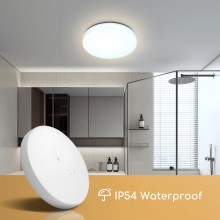 Aigostar - LED-kattovalaisin kylpyhuoneeseen LED/24W/230V 6500K IP54