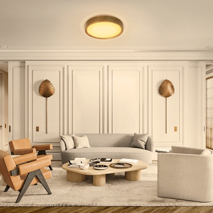 Aigostar - LED-kattovalaisin LED/12W/230V 3000K halkaisija 26,3 cm