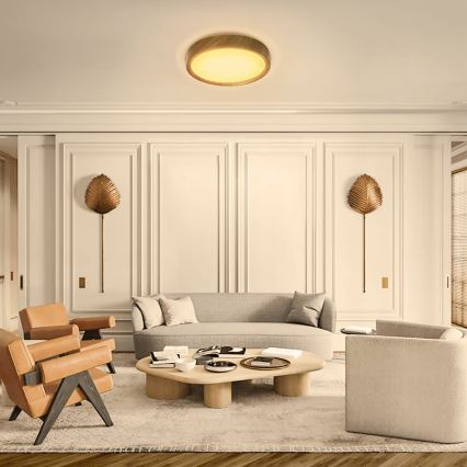 Aigostar - LED-kattovalaisin LED/20W/230V 3000K halkaisija 33,7 cm