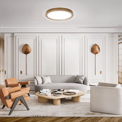 Aigostar - LED-kattovalaisin LED/24W/230V 6500K halkaisija 38,3 cm