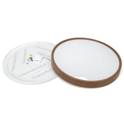 Aigostar - LED-kattovalaisin LED/36W/230V 6500K halkaisija 48,1 cm