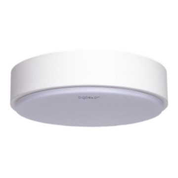 Aigostar - LED Kattovalo LED/24W/230V 6500K d. 40 cm valkoinen