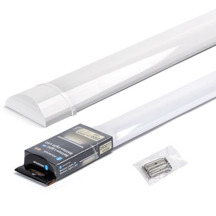 Aigostar - LED-loisteputkivalaisin LED/20W/230V 4000K 60 cm