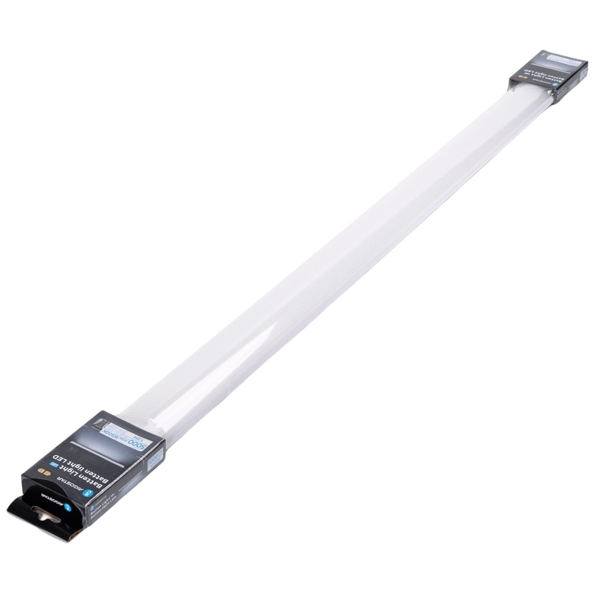 Aigostar - LED loisteputkivalaisin LED/40W/230V 6500K 120 cm