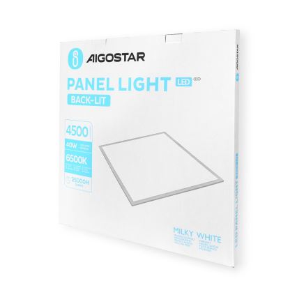 Aigostar - LED-kattopaneeli LED/40W/230V 6500K 60x60cm valkoinen