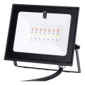 Aigostar - LED RGB himmennettävä valonheitin LED/10W/230V IP65 + kaukosäädin