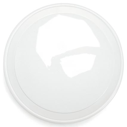 Aigostar - LED RGBW himmennettävä kylpyhuoneen kattovalaisin MESH Smart LED/24W/230V 3000-6500K IP44 + kaukosäädin