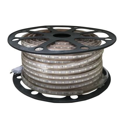 Aigostar - LED-valonauha ulkokäyttöön 50m LED/300W/230V sininen IP65