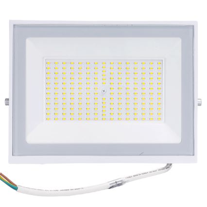 Aigostar - LED-valonheitin LED/100W/230V 6500K IP65