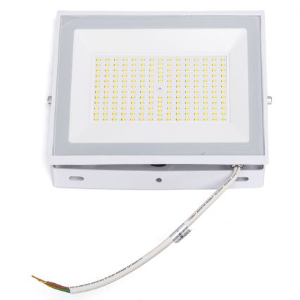 Aigostar - LED-valonheitin LED/100W/230V 6500K IP65