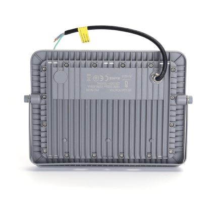 Aigostar - LED-valonheitin LED/100W/230V harmaa 6500K IP65