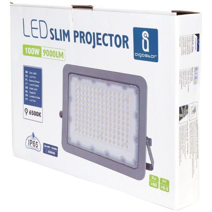 Aigostar - LED-valonheitin LED/100W/230V harmaa 6500K IP65