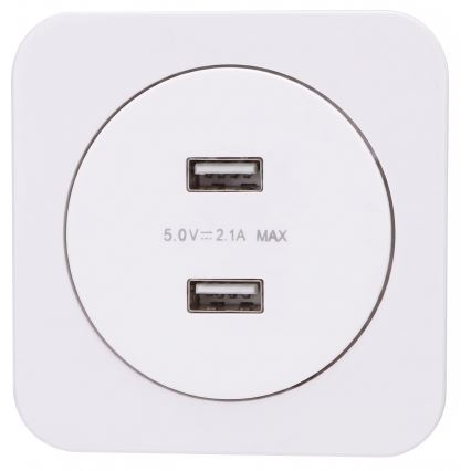Aigostar - USB-pistorasia kehyksellä 2x USB-A valkoinen