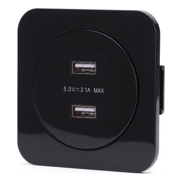 Aigostar - USB-virtapistorasia kehyksellä 2x USB-A, musta