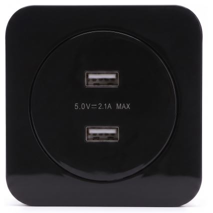 Aigostar - USB-virtapistorasia kehyksellä 2x USB-A, musta