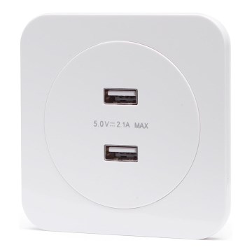 Aigostar - USB-virtapistorasia kehyksellä, 2x USB-A, valkoinen