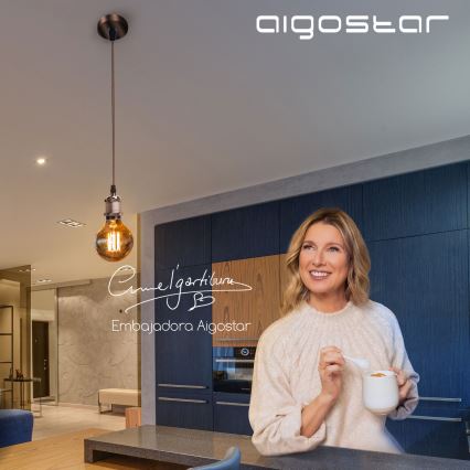 Aigostar - Virtajohto 1xE27/60W/230V kupari