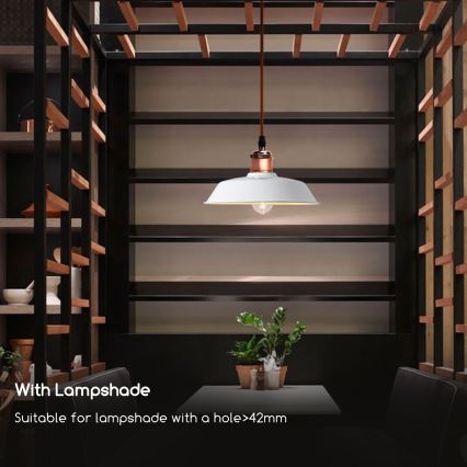 Aigostar - Virtajohto 1xE27/60W/230V kupari