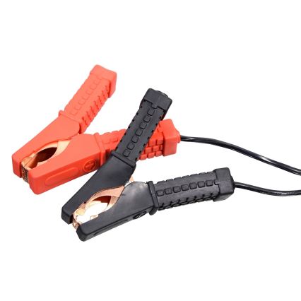 Akkulaturi 6/12V 2/10/55A