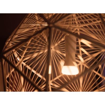 Aloituspaketti Philips Hue WHITE AMBIANCE 2xE27/8W/230V + liitäntälaite