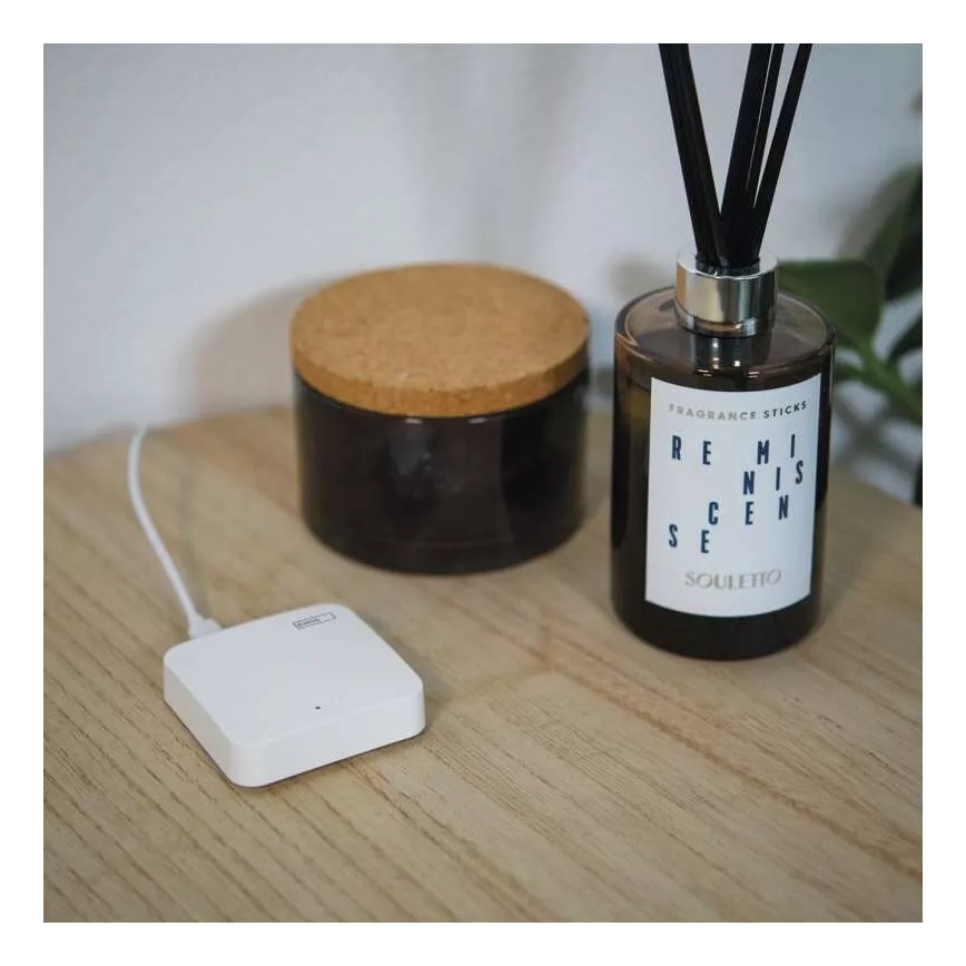 Älykäs yhdyskäytävä GoSmart ZigBee 3.0 5V Wi-Fi