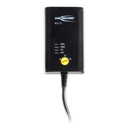 Ansmann 11496 - ALCS 2-12/0,4 - Akkulaturi 2-12V/1,2-40Ah