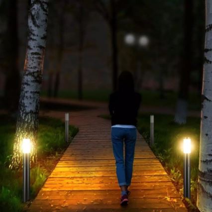 Anturilla varustettu ulkovalaisin 1xE27 / 60W / 230V IP44 80cm mattakromi