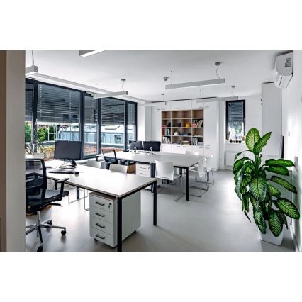 APLED - LED Riippuvalaisin LOOK LED/58W/230V 4000K 150 cm hopea