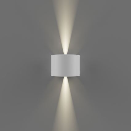 APLED - LED-ulkoseinävalaisin OVAL 2xLED/3W/230V IP65