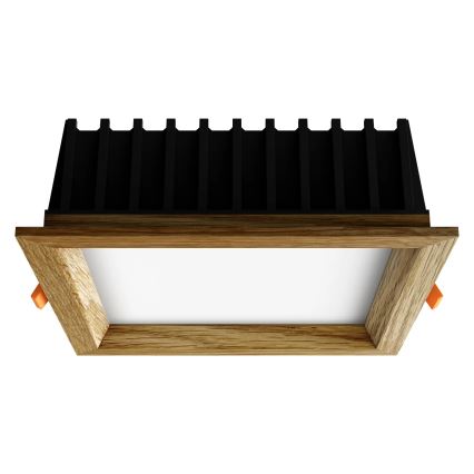 APLED - LED upotettava valo SQUARE WOODLINE LED/12W/230V 4000K 17x17 cm tammi massiivipuu