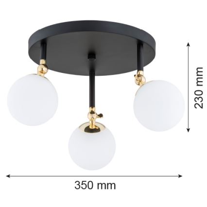 Argon 1436 - Kylpyhuoneen pintakiinnitteinen kattovalaisin LATINA 3xE14/40W/230V IP44