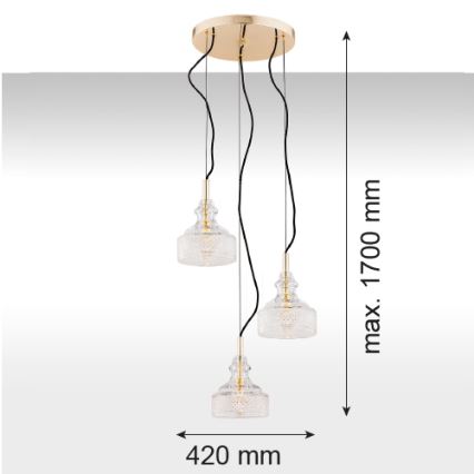 Argon 1462 - Kattokruunu narulla CRUZ 3xE14/7W/230V
