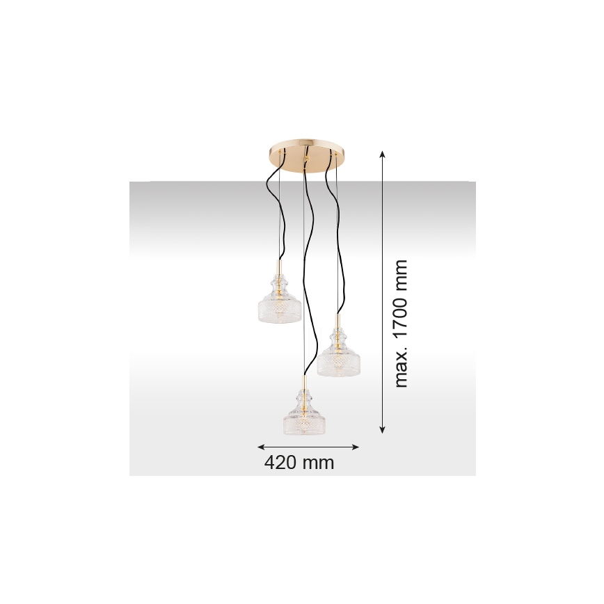 Argon 1462 - Kattokruunu narulla CRUZ 3xE14/7W/230V
