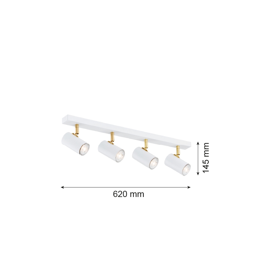 Argon 1689 - Kohdevalo LAGOS 4xGU10/5W/230V valkoinen/kultainen