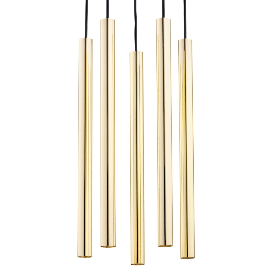 Argon 2109 - LED-kattokruunu johdossa SICILIA 5xLED/4,5W/230V