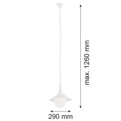 Argon 3296 - Ulkokattokruunu ERBA BIS 1xE27/60W/230V