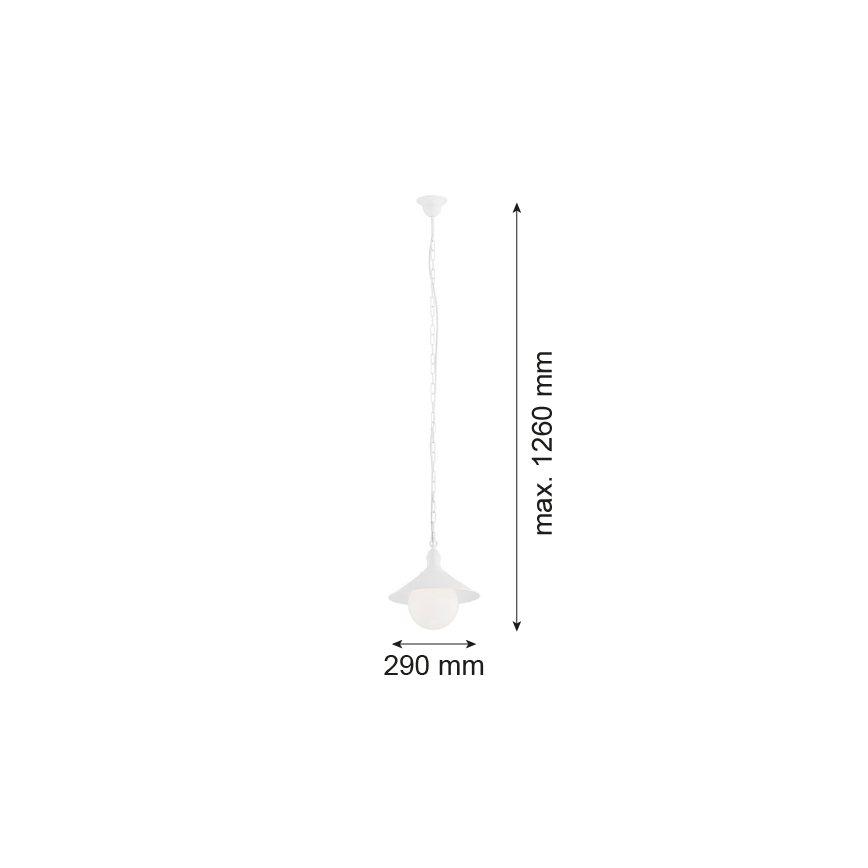 Argon 3296 - Ulkokattokruunu ERBA BIS 1xE27/60W/230V