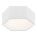 Argon 3828 - LED-kattovalaisin ARIZONA LED/9W/230V valkoinen