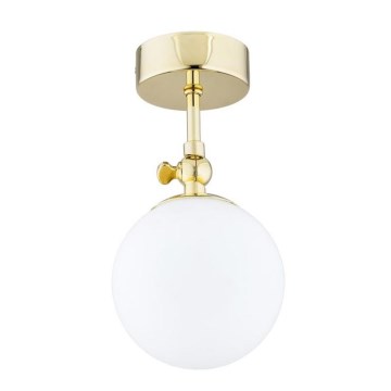 Argon 4001 - Kylpyhuoneen pinta-asennettava kattovalaisin LATINA 1xE14/40W/230V IP44