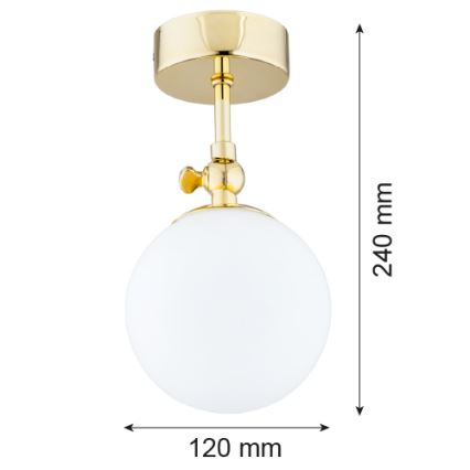 Argon 4001 - Kylpyhuoneen pinta-asennettava kattovalaisin LATINA 1xE14/40W/230V IP44